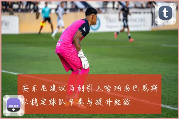 安东尼建议马刺引入哈珀或巴恩斯以稳定球队节奏与提升经验