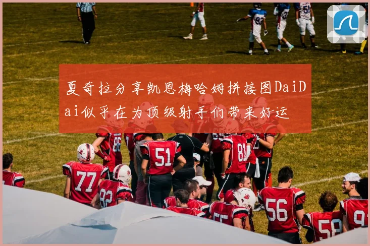 夏奇拉分享凯恩梅哈姆拼接图DaiDai似乎在为顶级射手们带来好运
