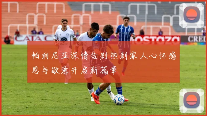 帕利尼亚深情告别热刺家人心怀感恩与敬意开启新篇章